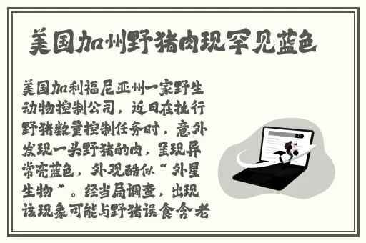 好湿 好紧 太爽了公交车