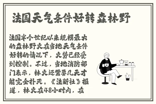 中文字幕无线观看在